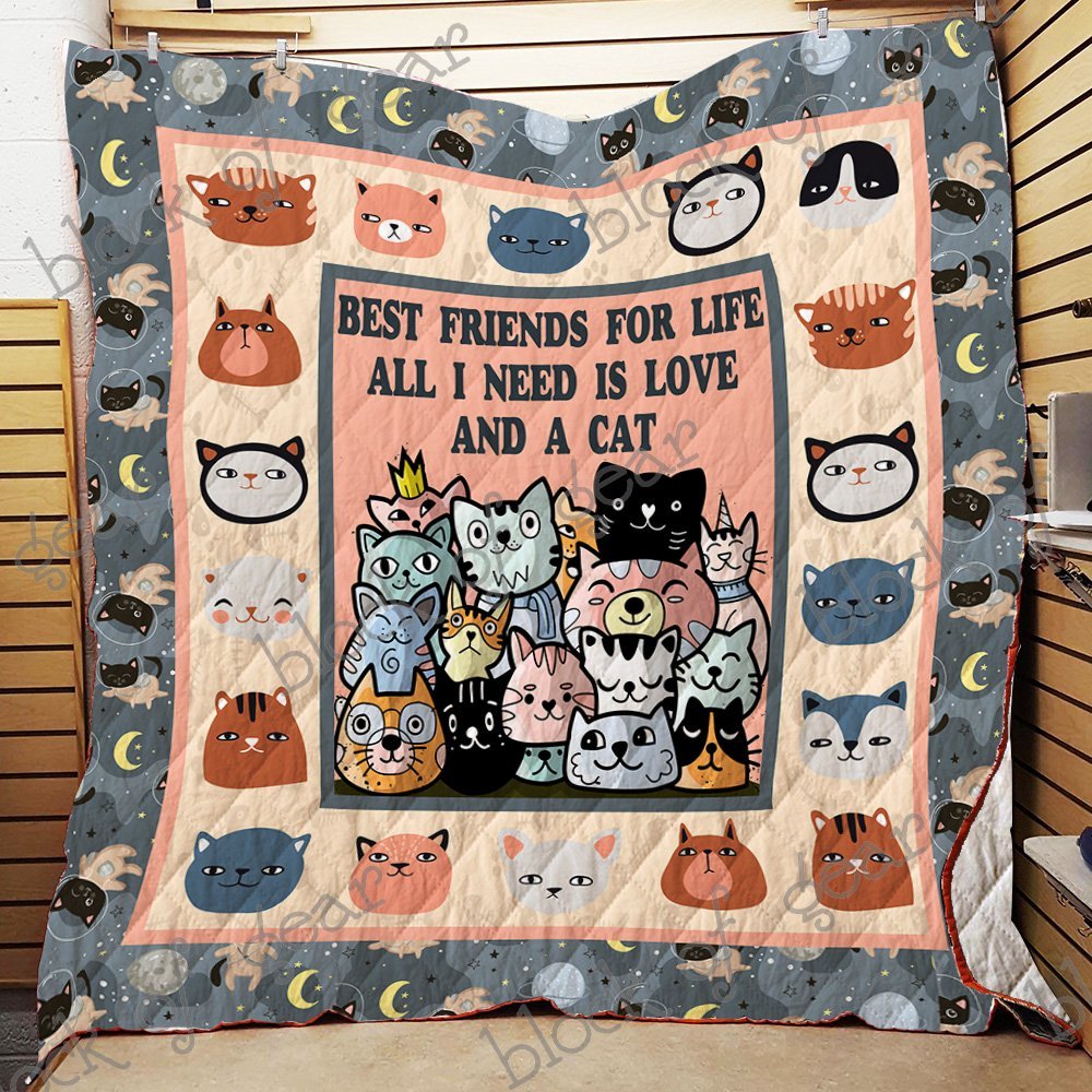 Best friends for life all i need is love and a cat quilt 1