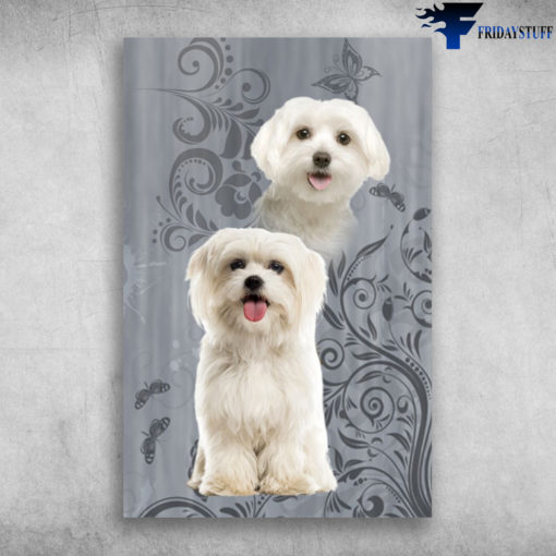 I Just Love Maltese White Pets Maltese Dog poster