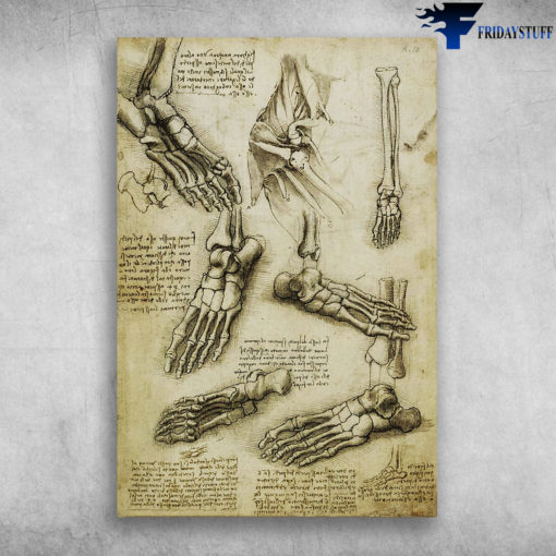 The Nature Of The Human Body Leonardo Da Vinci poster – tml