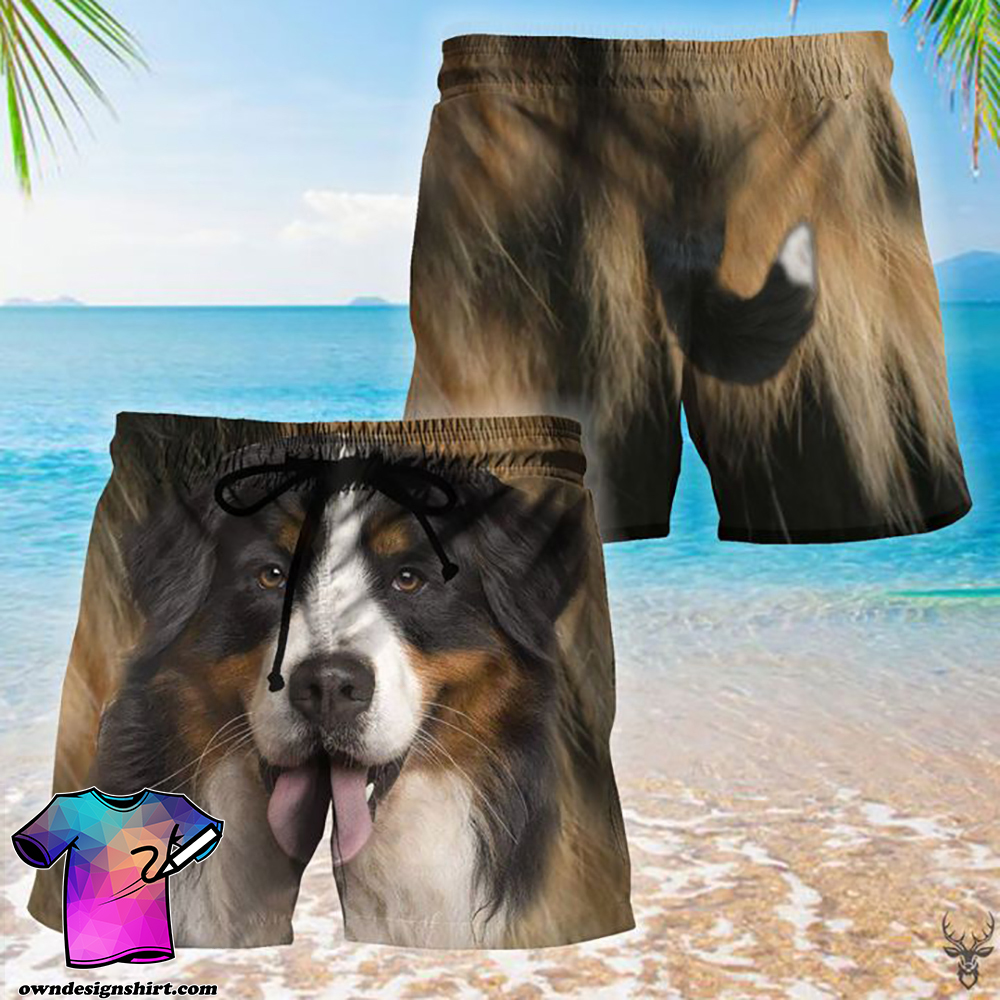Bernese dog hawaiian shorts