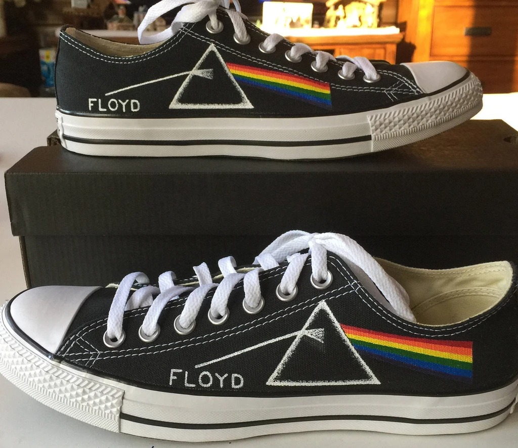 Pink floyd canvas low top shoes
