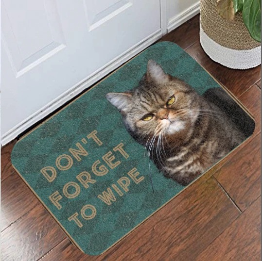 Cat don't forget to wipe doormat