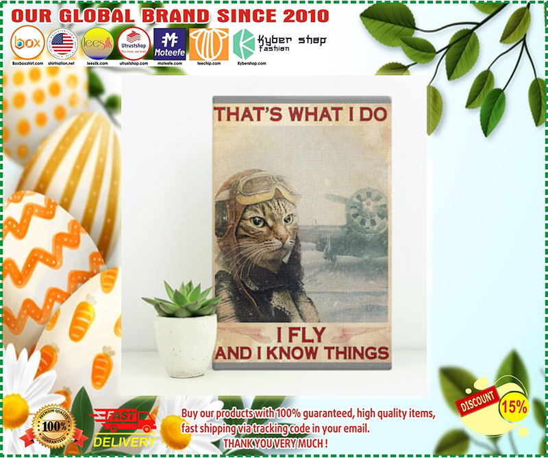 Cat That's what I do I fly and I know things poster