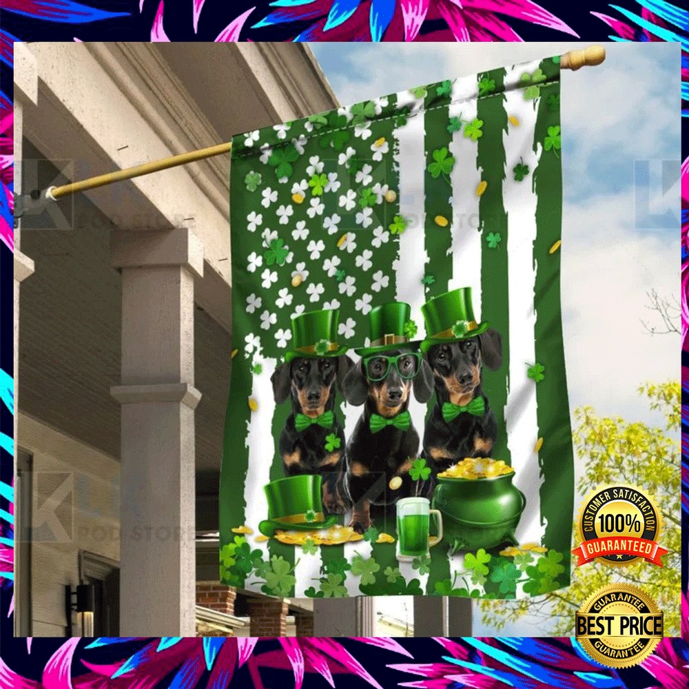 Dachshund St. Patrick’s Day flag (2)