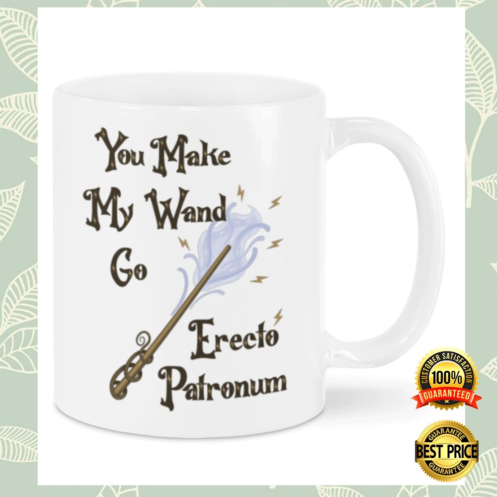 You make my wand go erecto patronum mug (2)