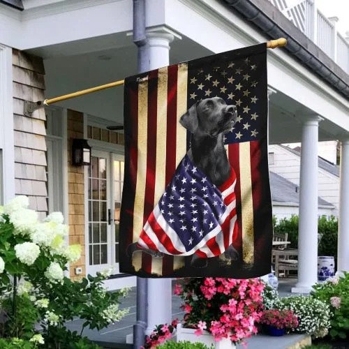 Black Labrador Retriever American patriot flag Picture 2
