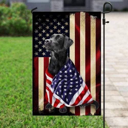 Black Labrador Retriever American patriot flag Picture 3