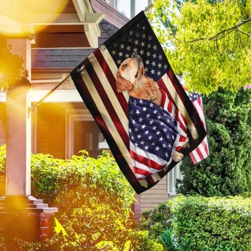 Golden Retriever American patriot flag Picture 2