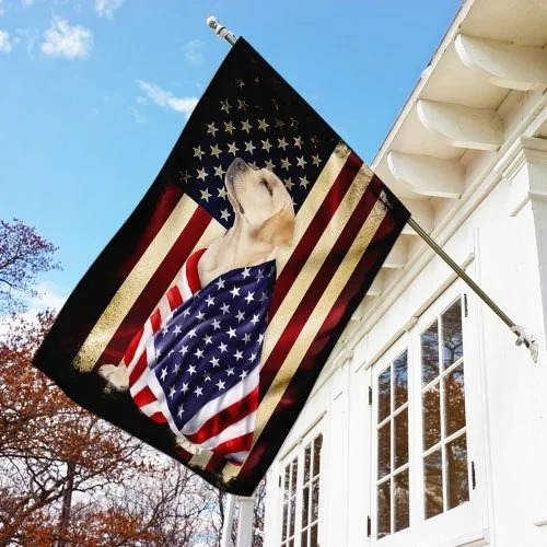 Yellow Labrador Retriever American patriot flag Picture 3