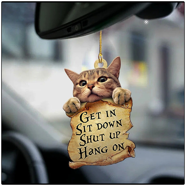 Cat get in cat lover two sided ornament2