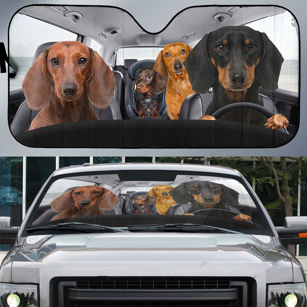 Dachshunds family driving car sunshade - Picture 1
