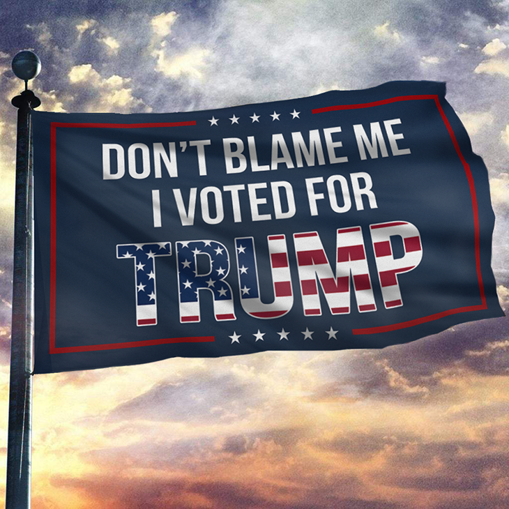 Dont Blame Me I Voted For Trump USA Flag2