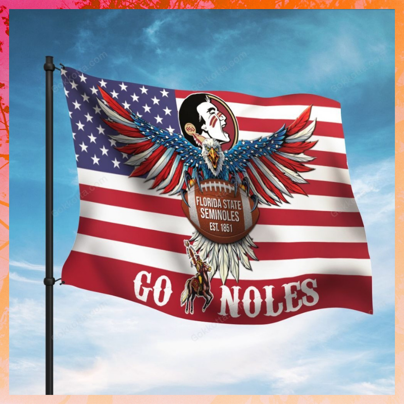 Florida state seminoles go noles flag
